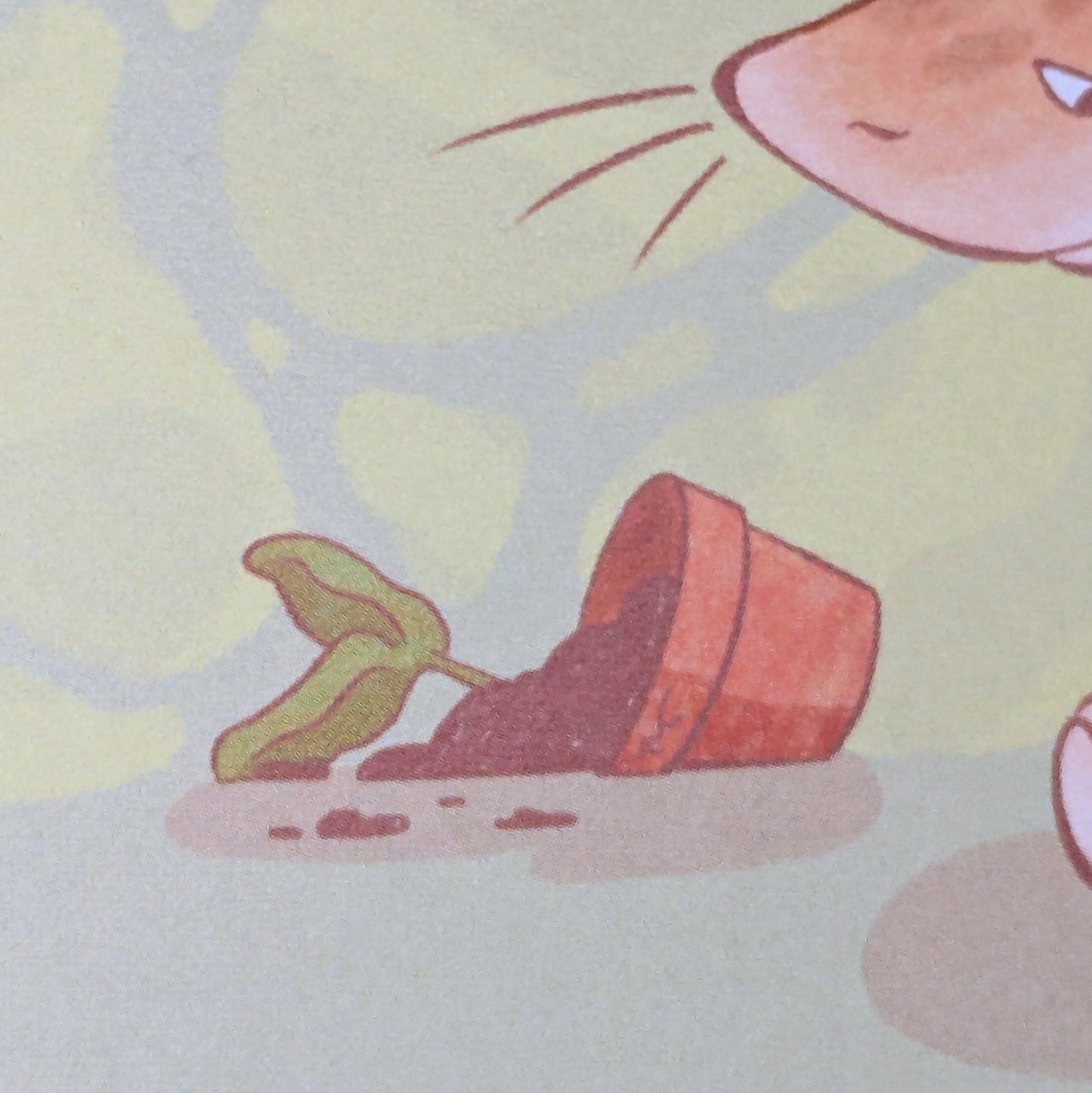 Print Requin Chat Lilie Doigts de Fée